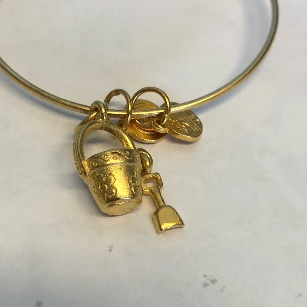 Alex and Ani Gold and Silver Charm Bangle Set